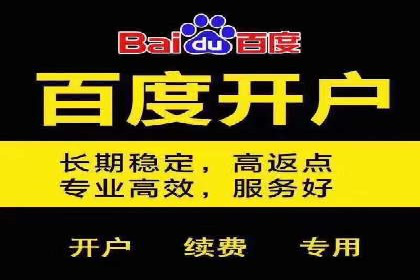 成功SEM主管的营销策略案例分享